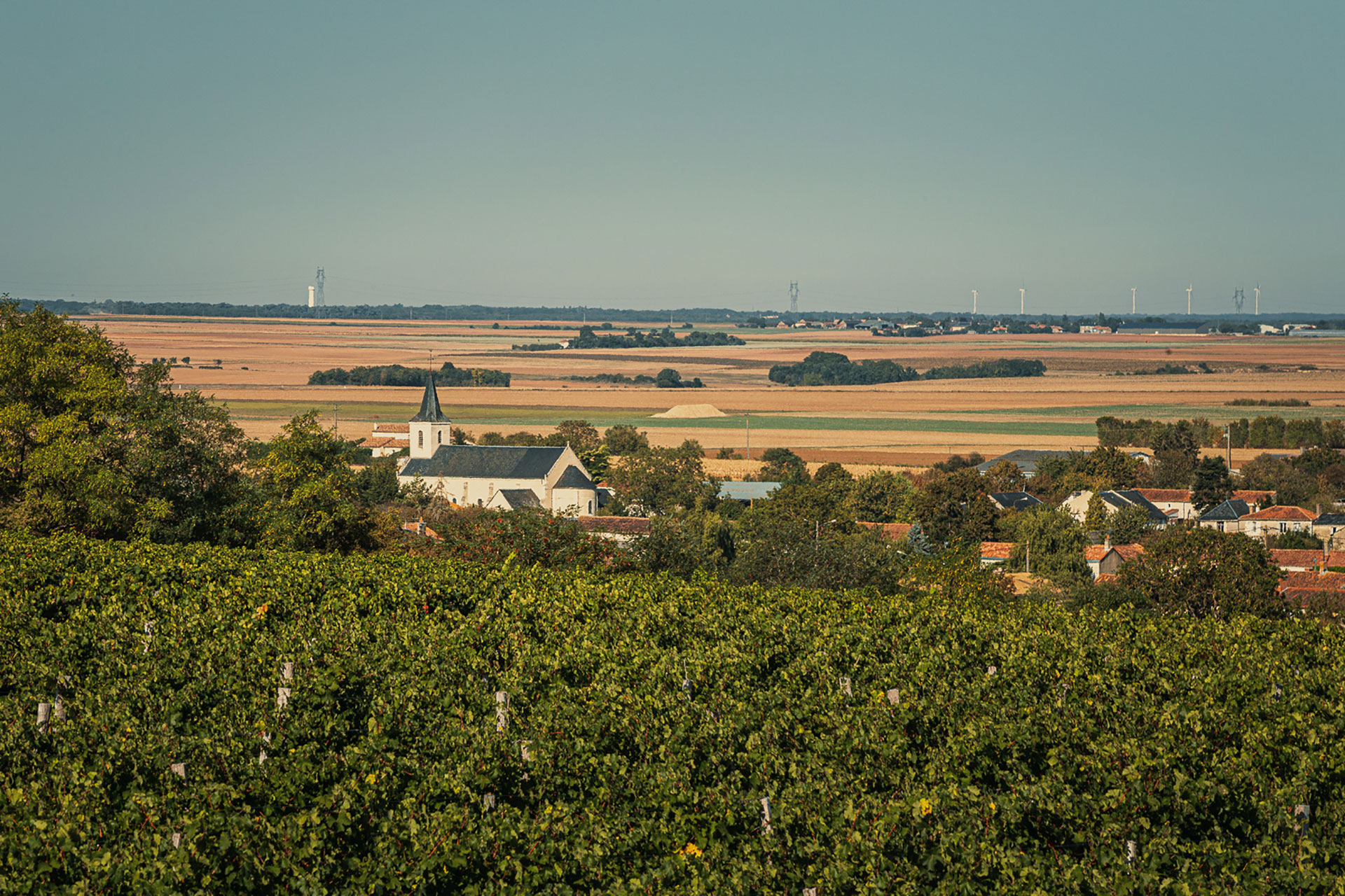 Agrandir l'image (fenêtre modale)