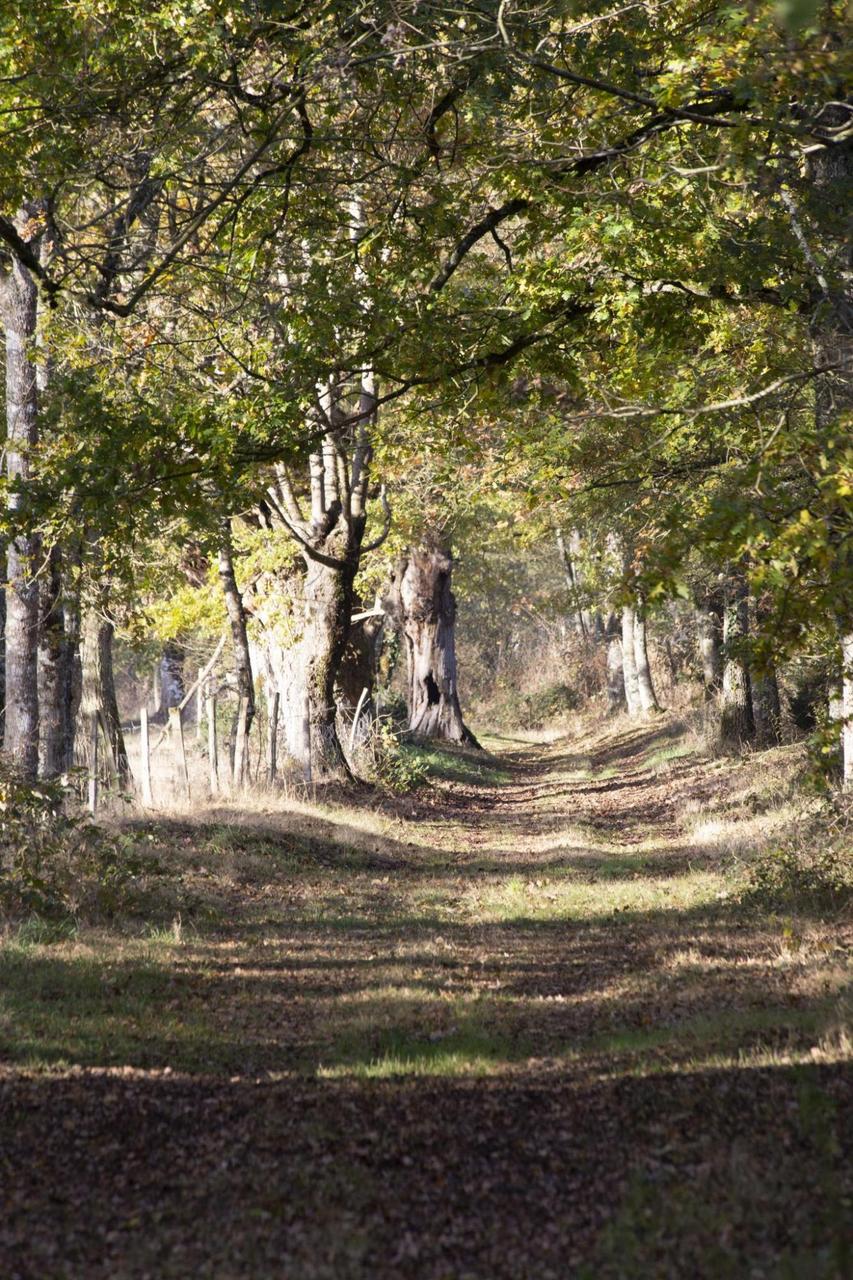 Agrandir l'image (fenêtre modale)