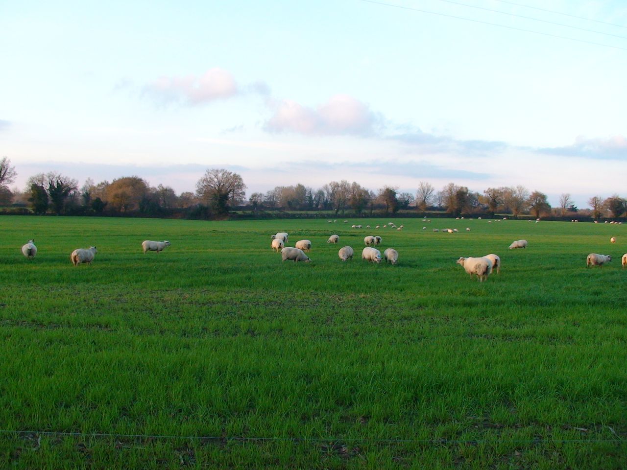 Agrandir l'image (fenêtre modale)