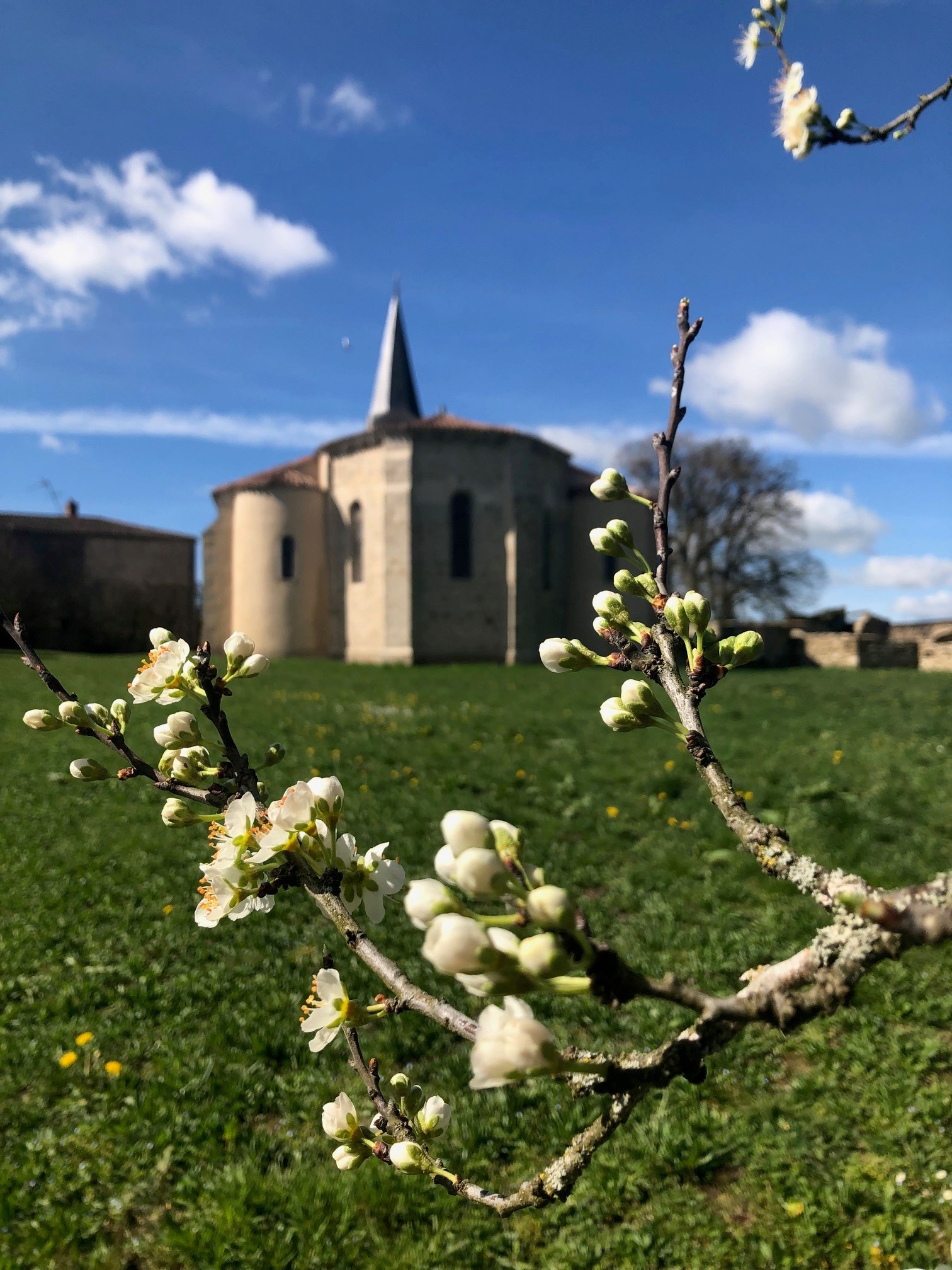 Agrandir l'image (fenêtre modale)