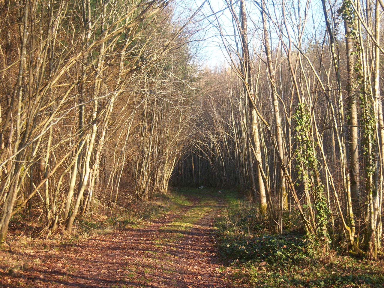 Commune Le Retail : chemin du moulin des bois - Agrandir l'image (fenêtre modale)