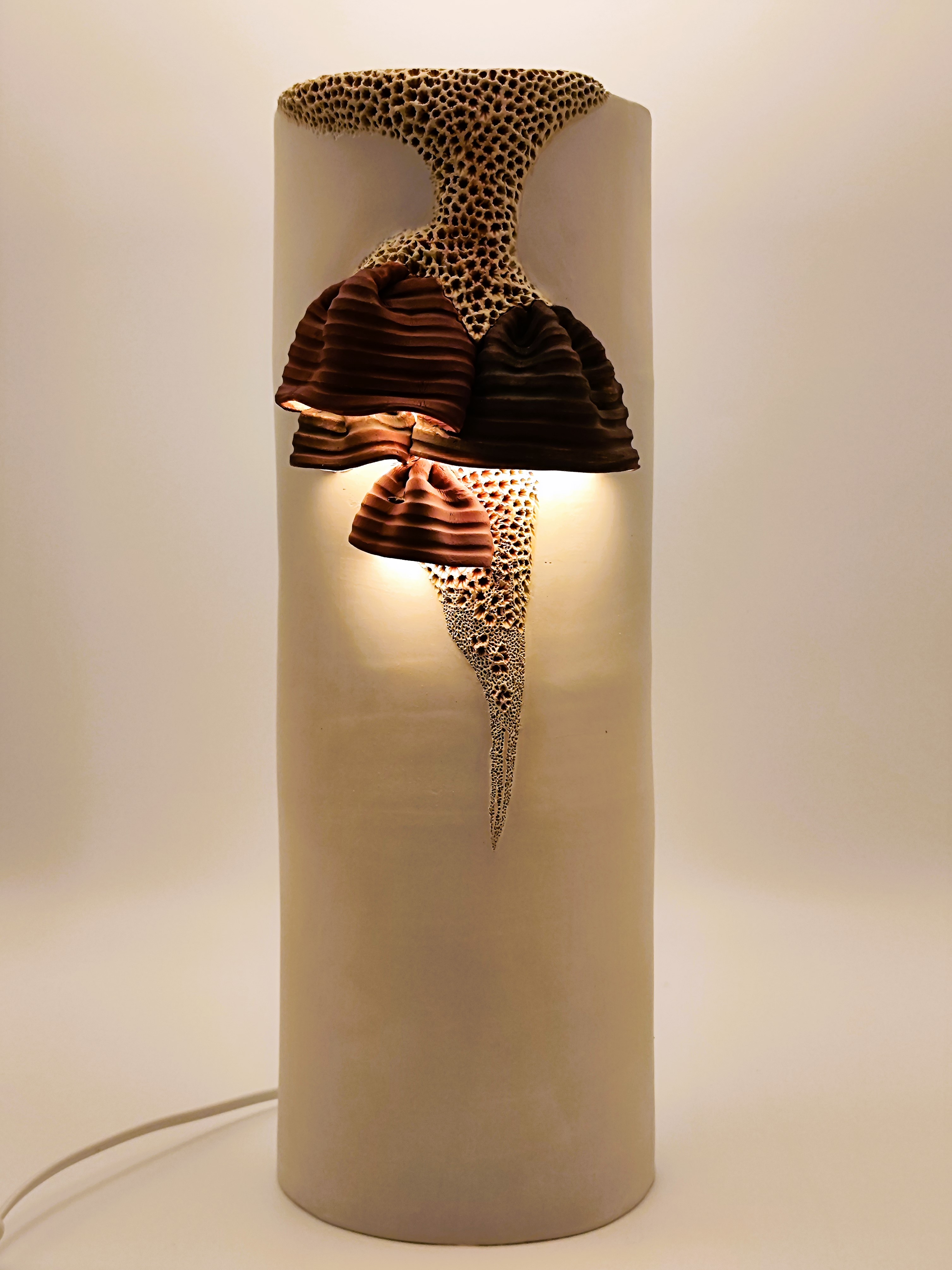 Agrandir l'image (fenêtre modale)