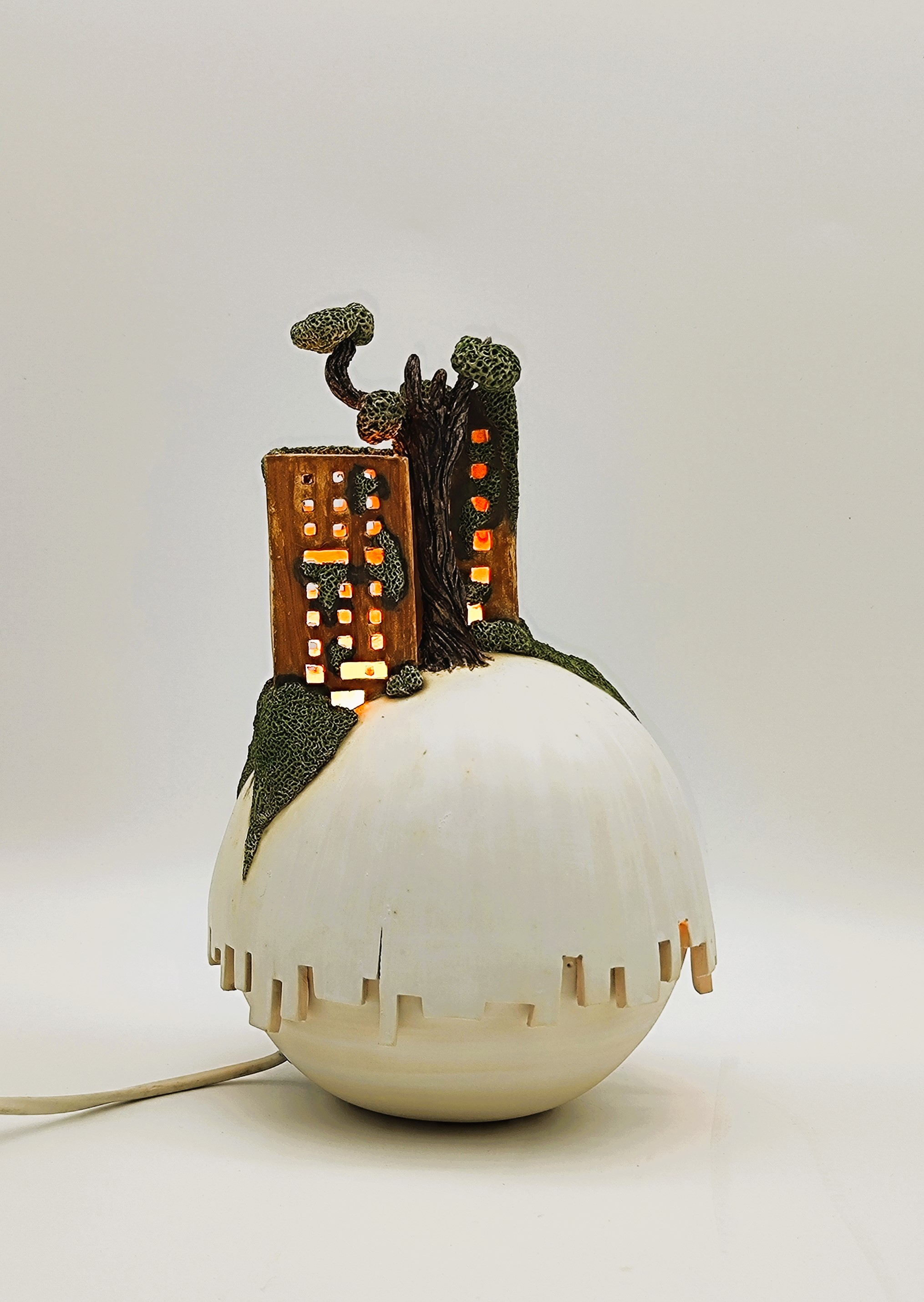 Agrandir l'image (fenêtre modale)