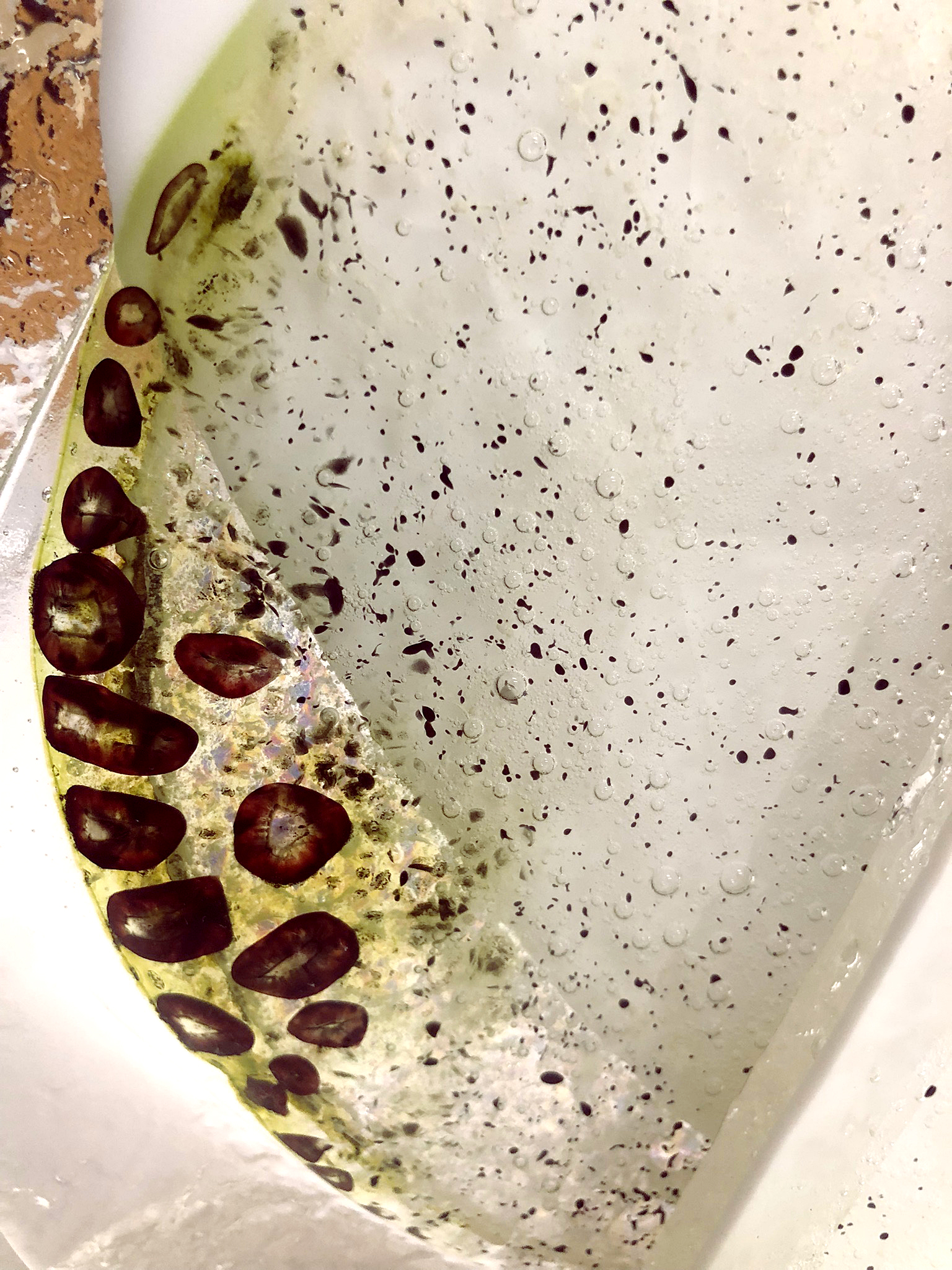 Agrandir l'image (fenêtre modale)