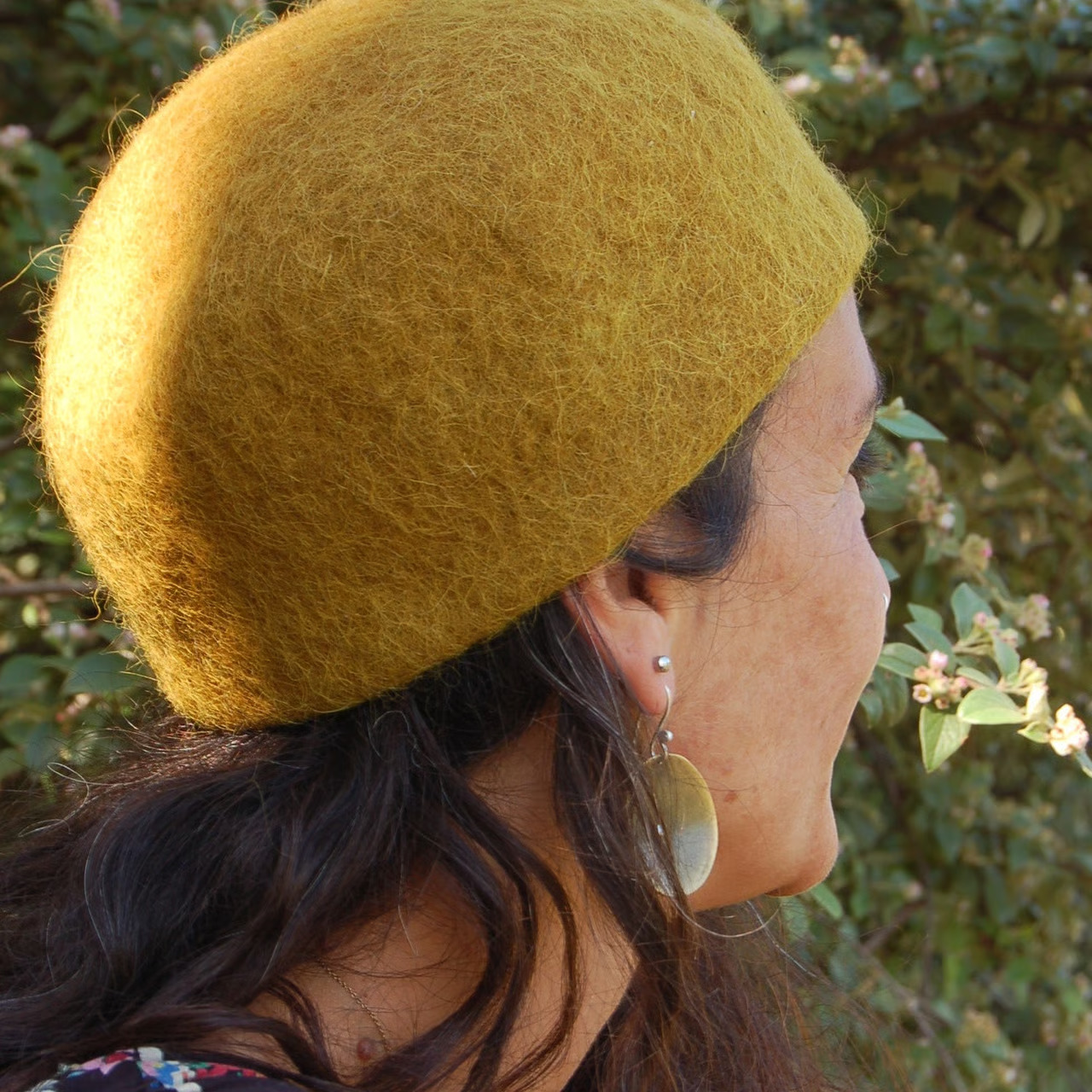 Agrandir l'image (fenêtre modale)