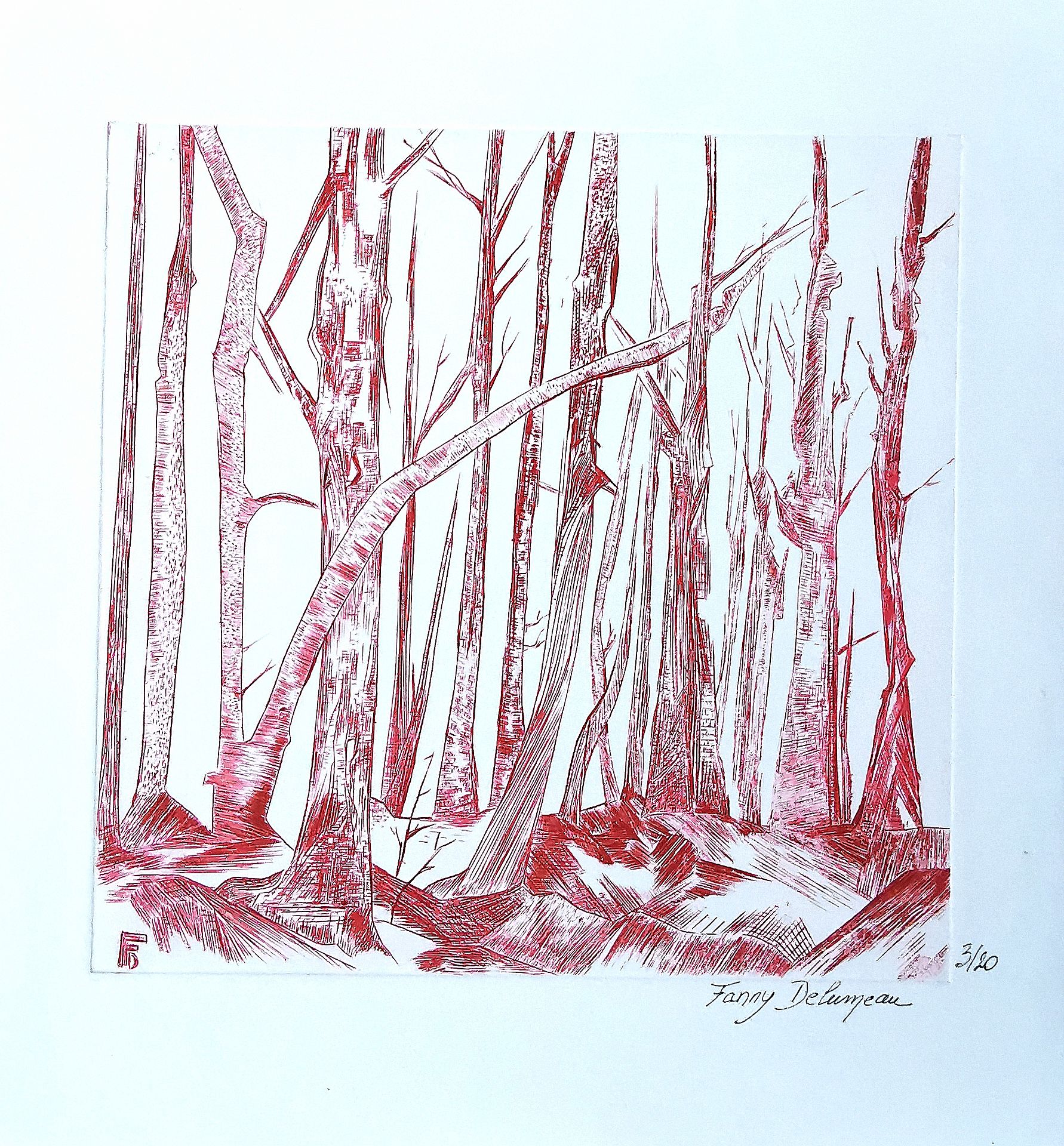 Agrandir l'image (fenêtre modale)