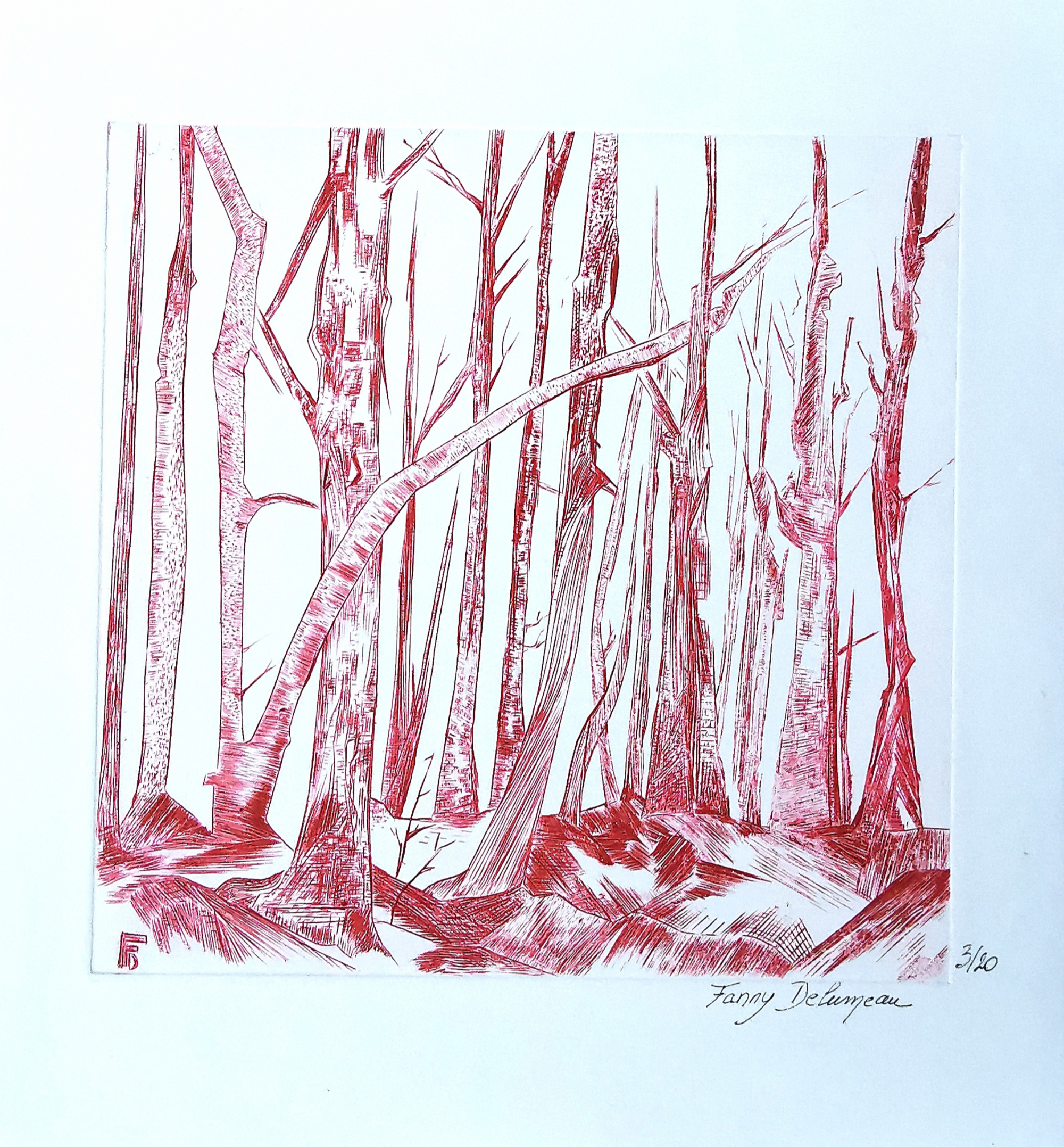 Agrandir l'image (fenêtre modale)