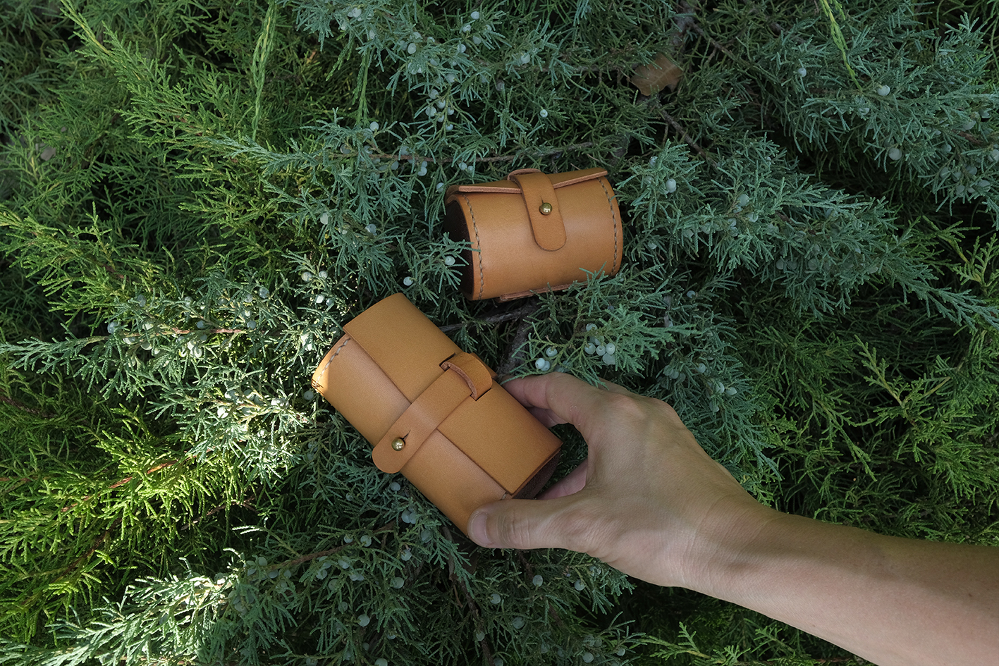 Agrandir l'image (fenêtre modale)