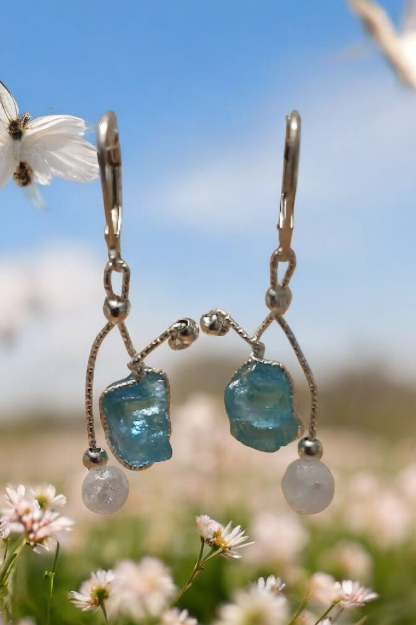 Agrandir l'image (fenêtre modale)