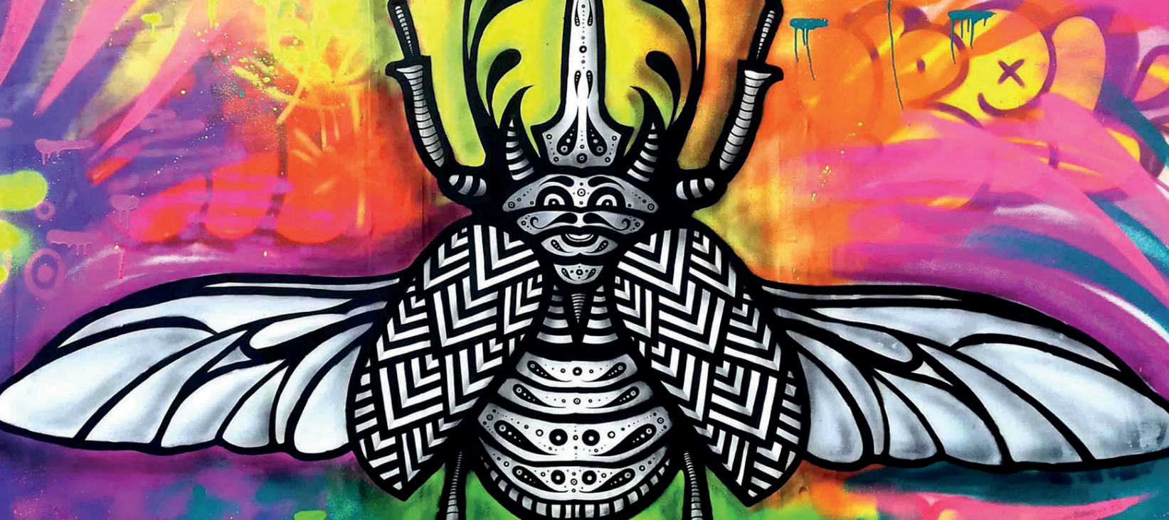 Agrandir l'image (fenêtre modale)