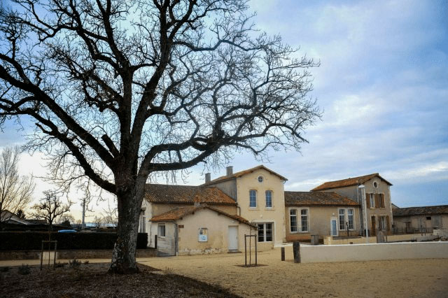Le cormier, arbre remarquable à Saint-Germier (79) - Agrandir l'image (fenêtre modale)