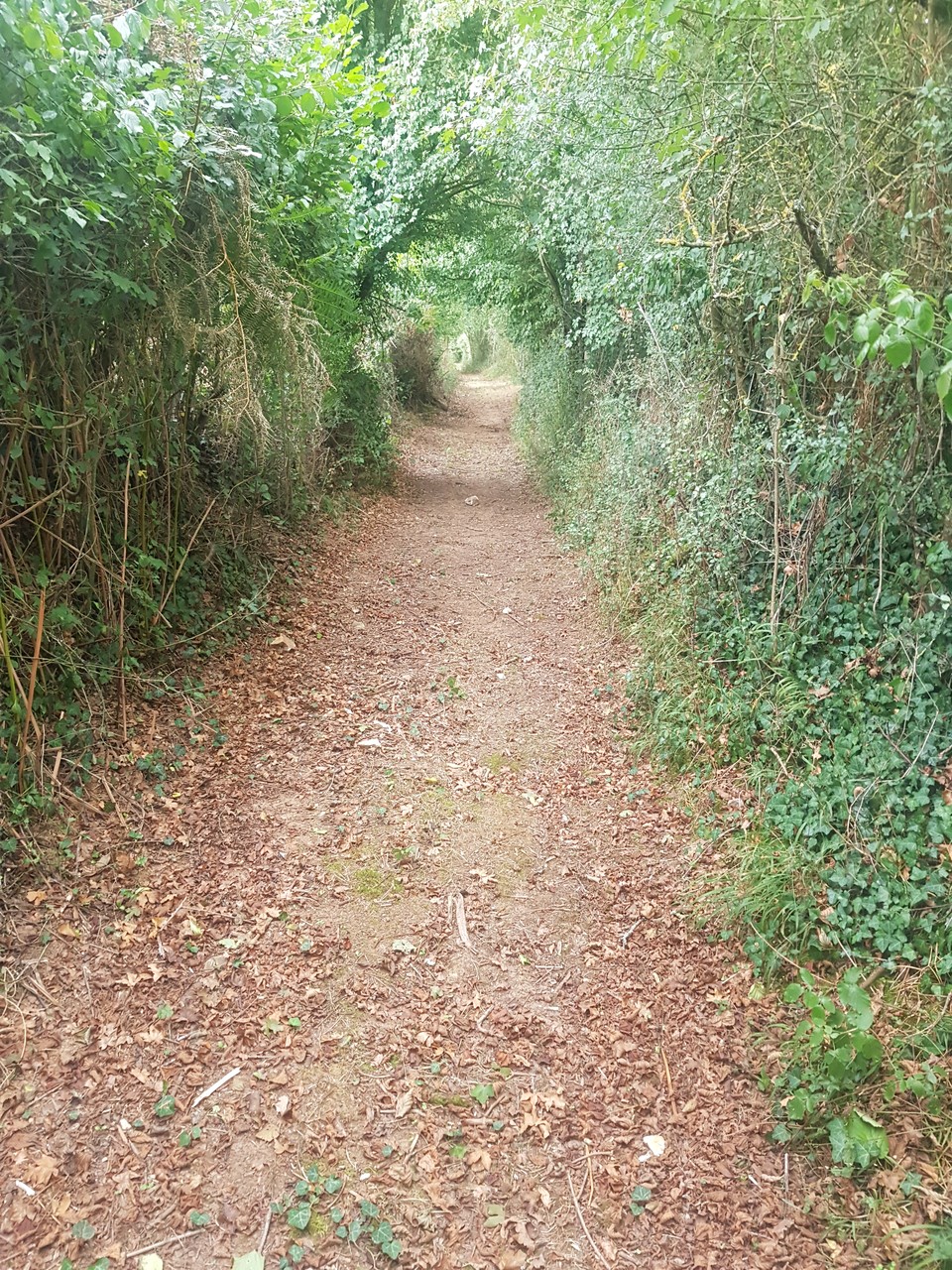 Chemin de randonnée à Vausseroux - Agrandir l'image (fenêtre modale)