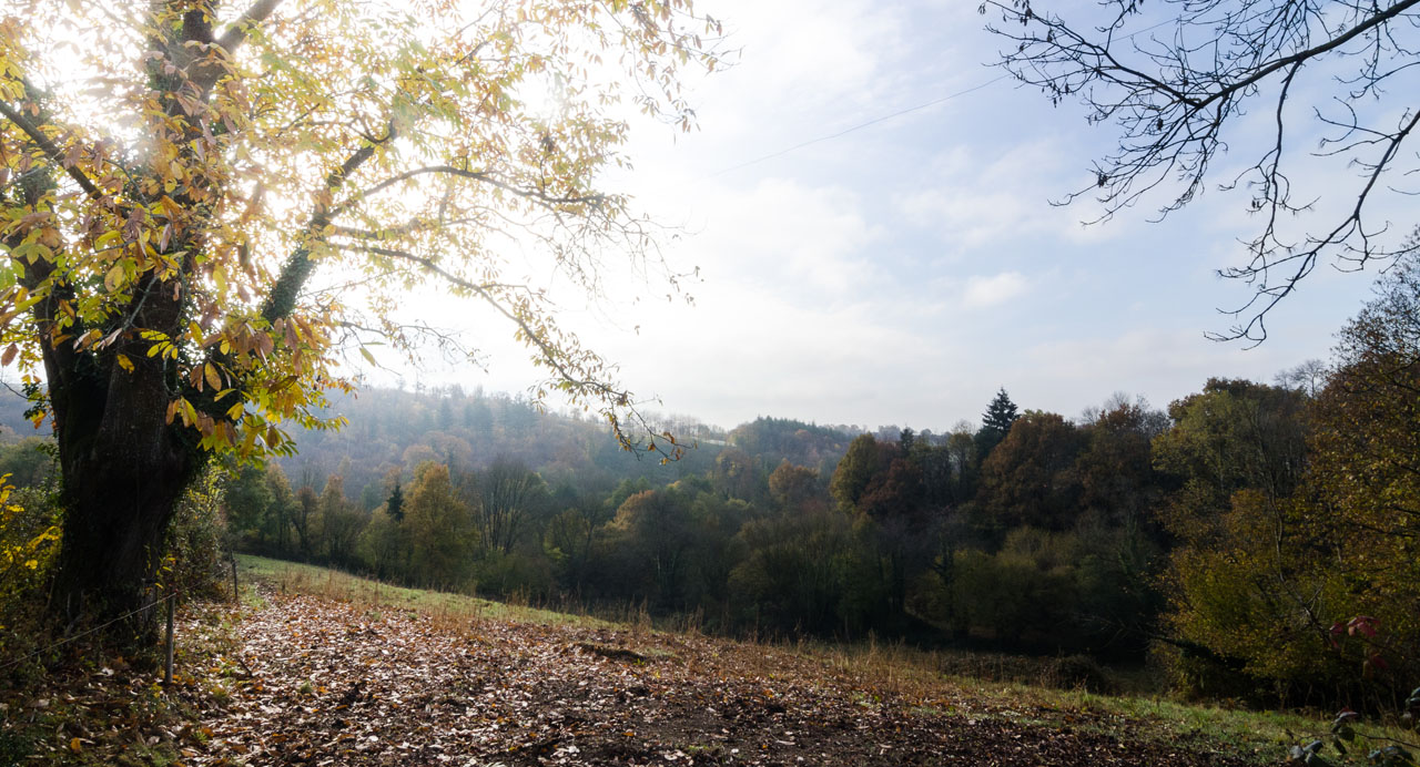 Paysage de Vernoux-en-Gâtine - Agrandir l'image (fenêtre modale)