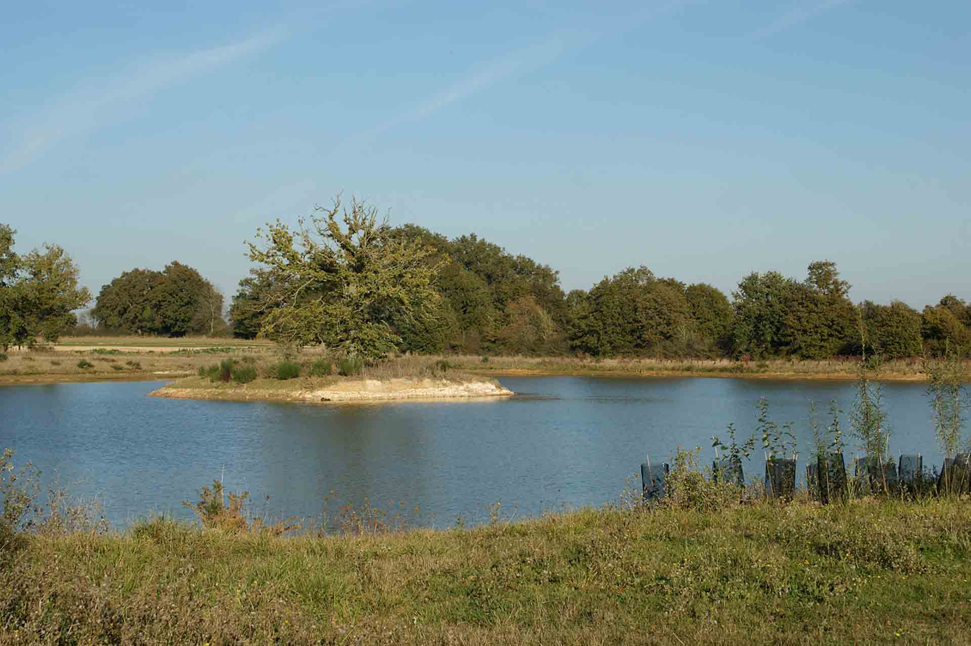 Etang des carrières de Viennay - Agrandir l'image (fenêtre modale)