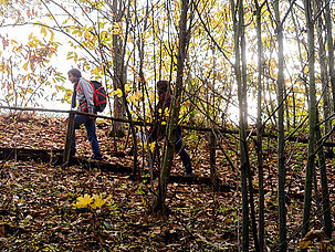 Randonnée dans la campagne de Vernoux-en-Gâtine