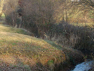 Paysage campagne de Saurais