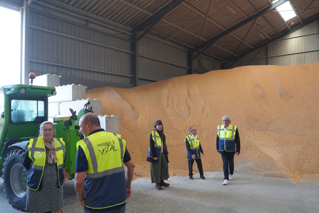 Agrandir l'image (fenêtre modale)